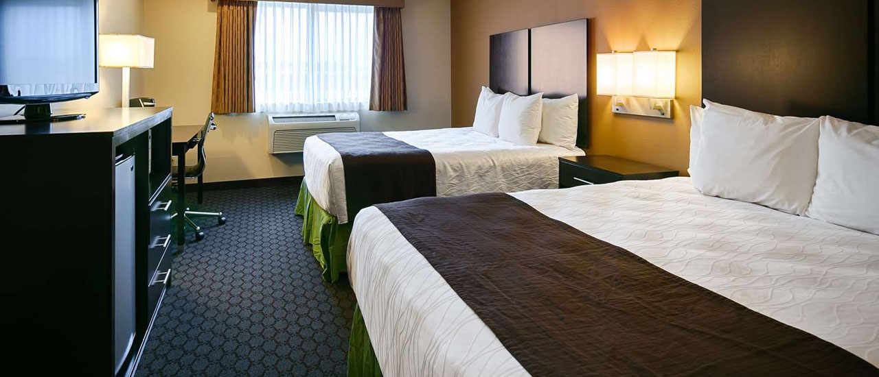 Spacious Standard Double Room Spacious Standard Double Room